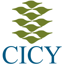 Logo CICY